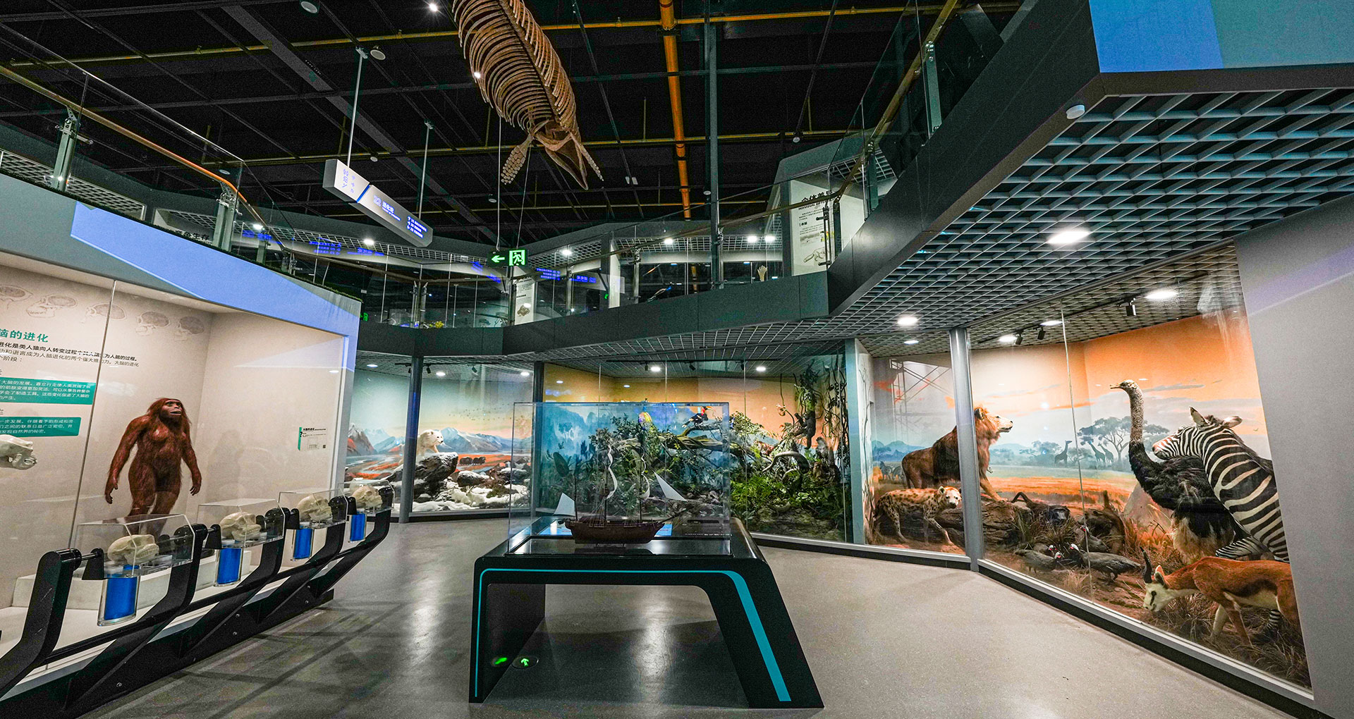 山東省科技館新館