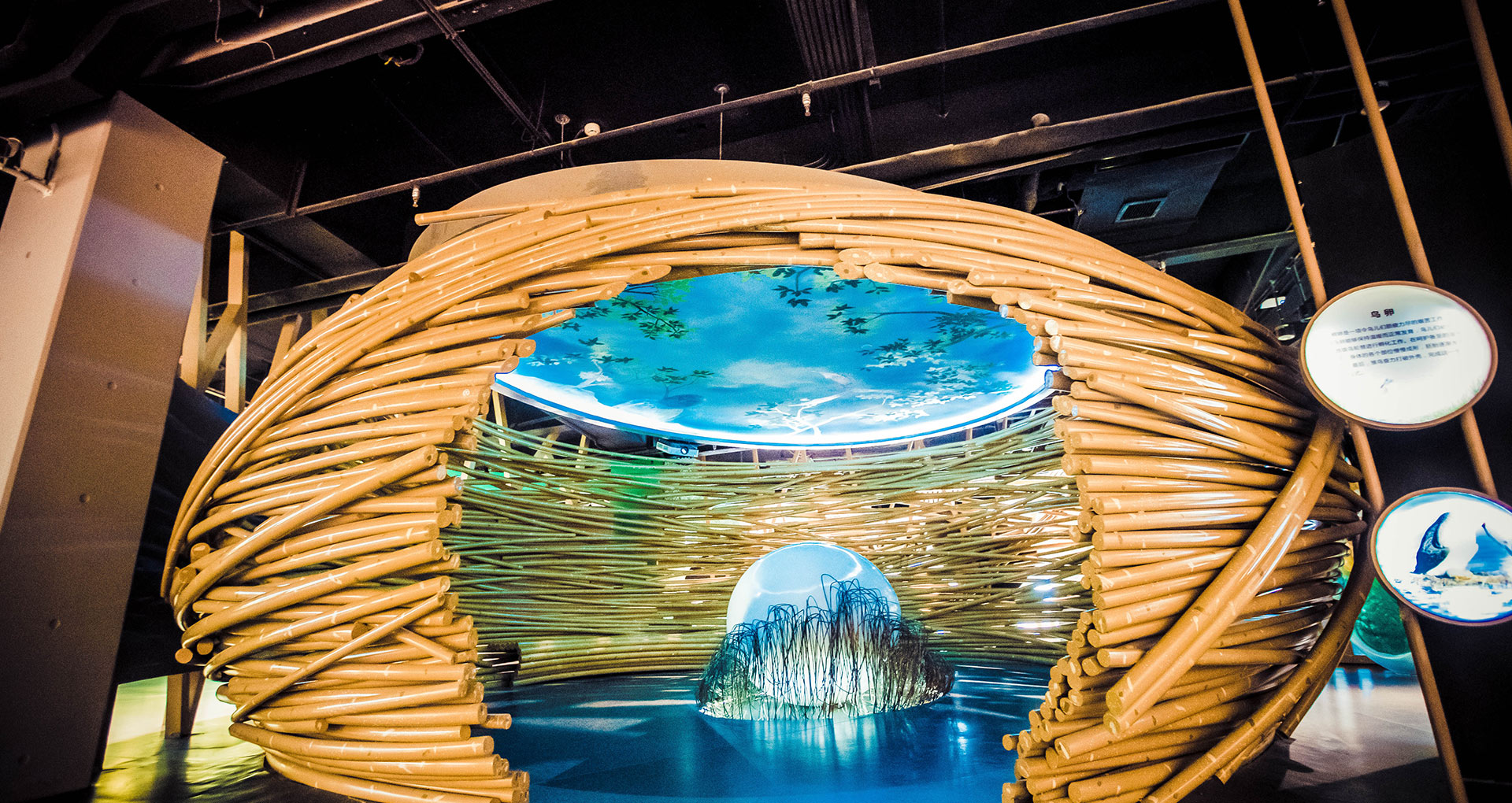 黃河三角洲鳥(niǎo)類(lèi)博物館