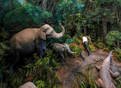 安達動(dòng)態(tài) | 劇透！合肥科技館新館即將精彩綻放（自然展廳篇）