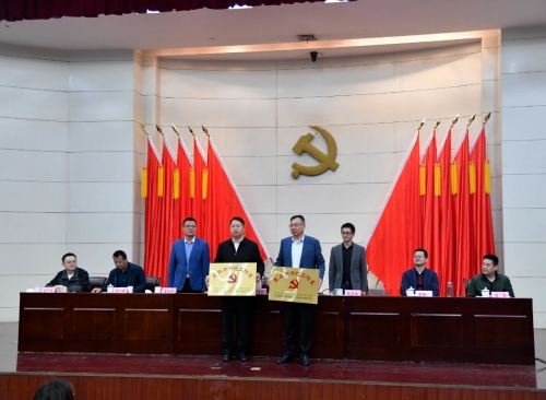 喜報 | 安達創(chuàng  )展黨總支又雙叒獲榮譽(yù)！