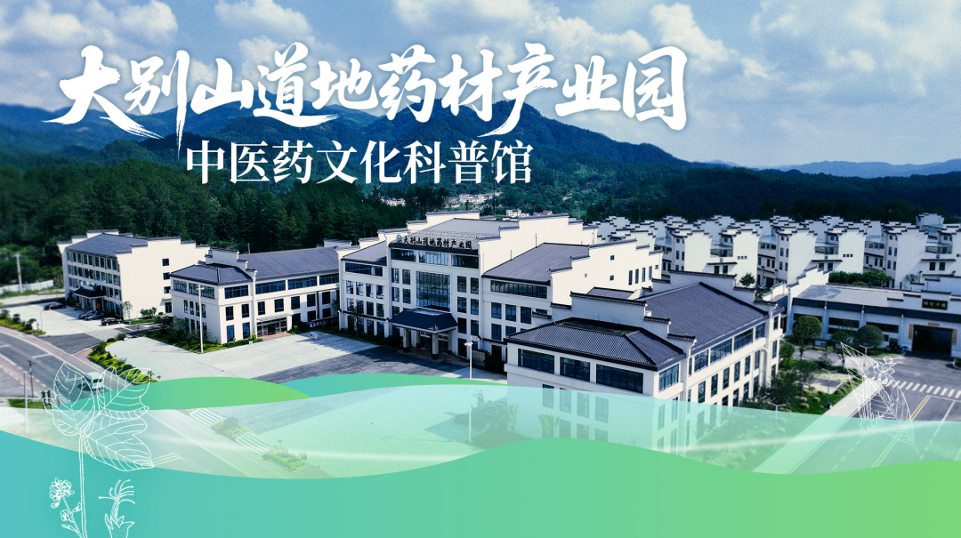 安達新作 | 大別山中醫藥文化科普館